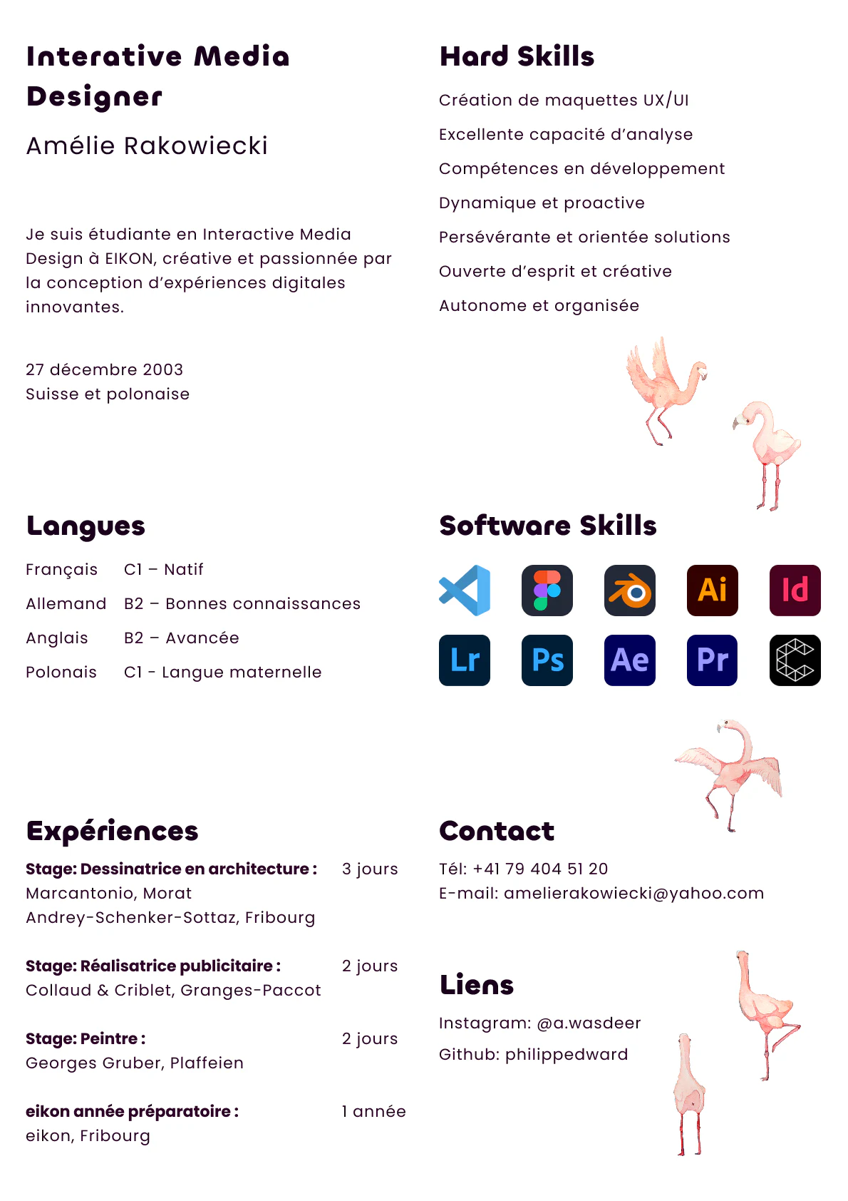 CV