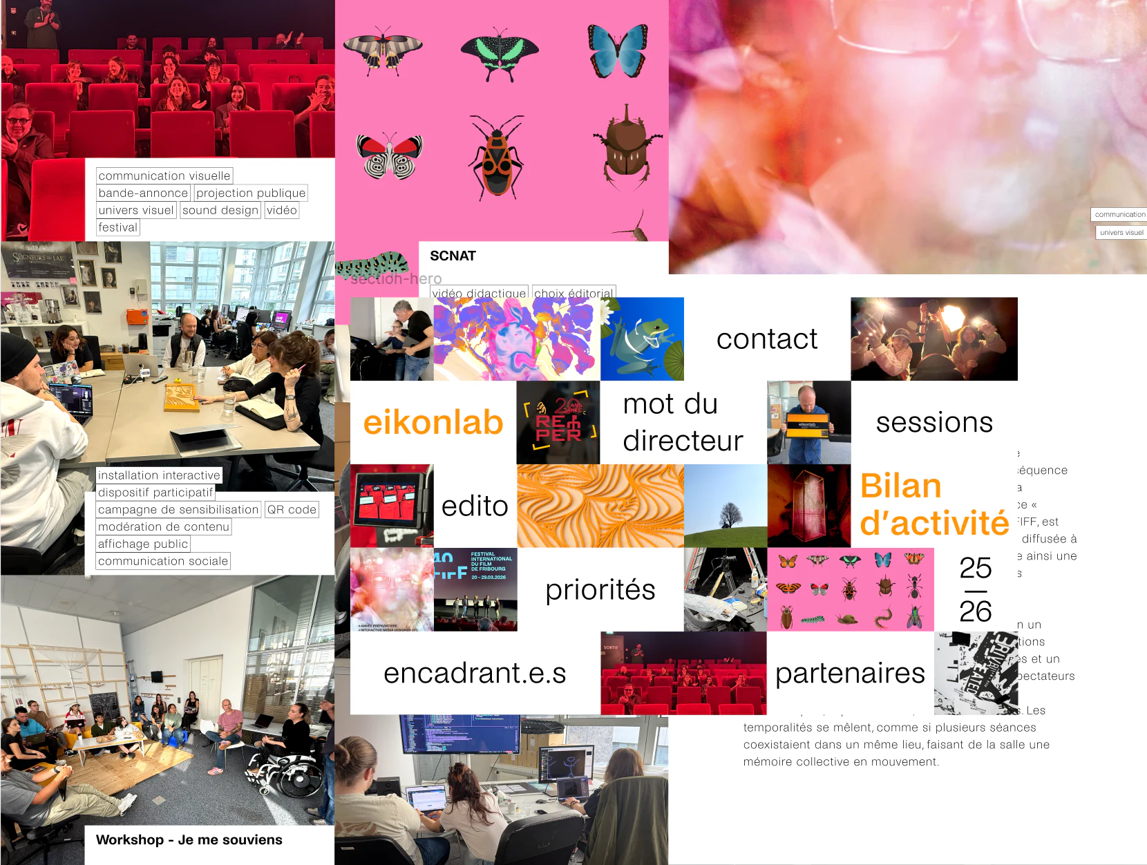 Bilan d'activité eikonlab